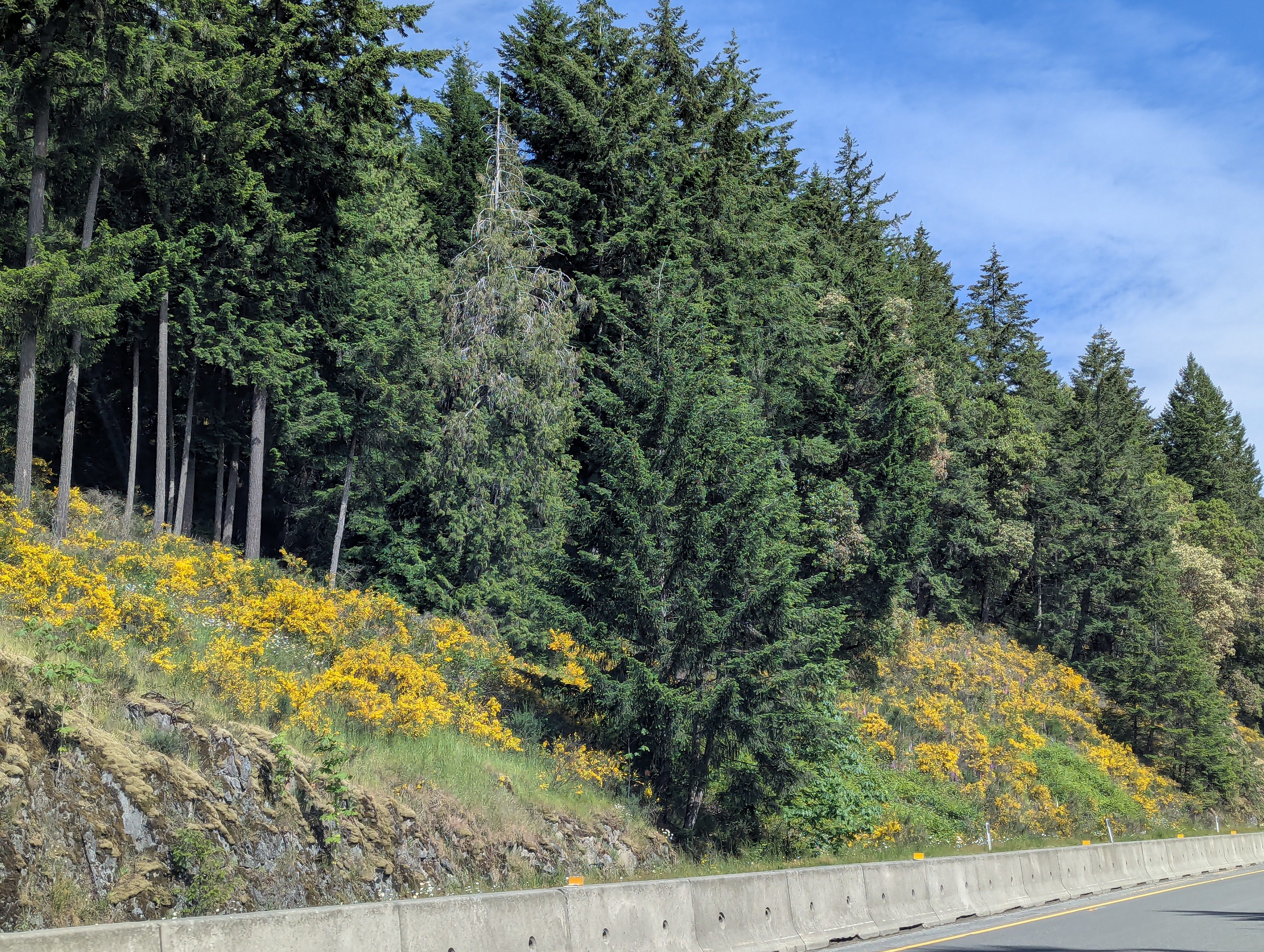 Birthday Trip to Canada, Vancouver Island